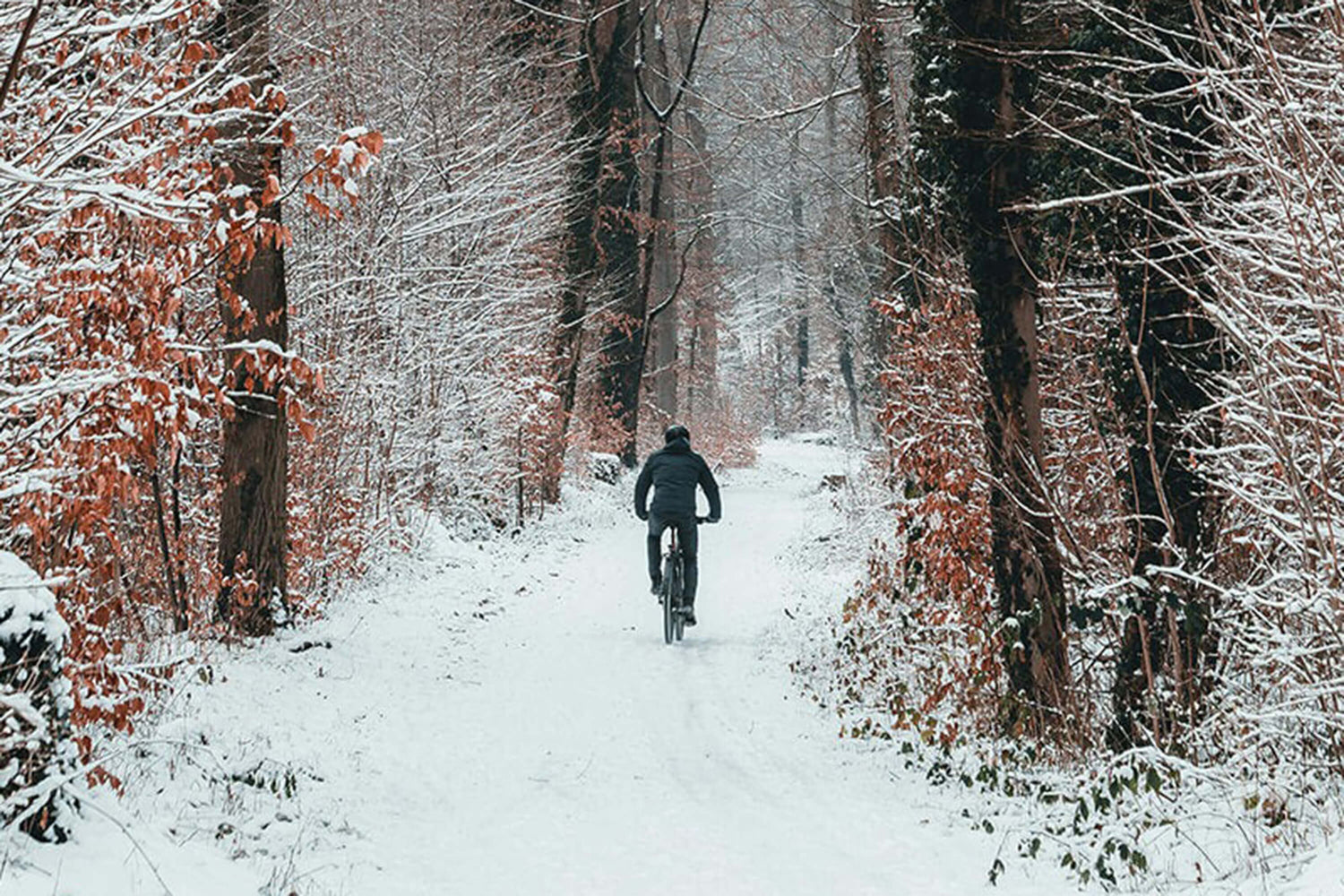 Embrace the Cold and Keep Riding