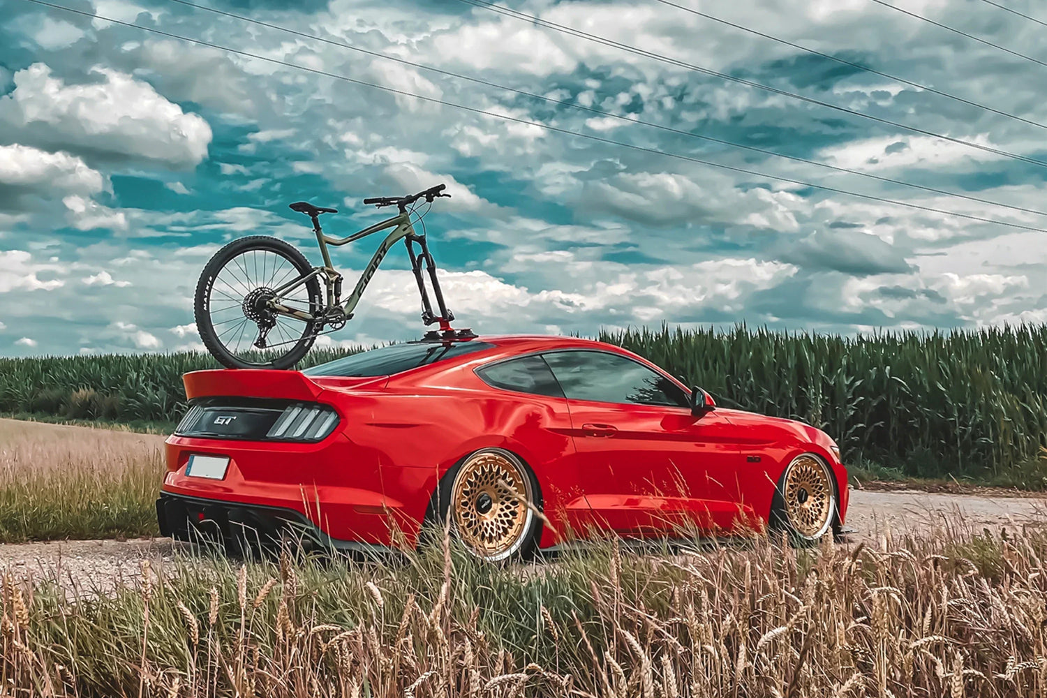 How to Choose the Right Bike Roof Rack for Your Car | A Complete Buyer’s Guide