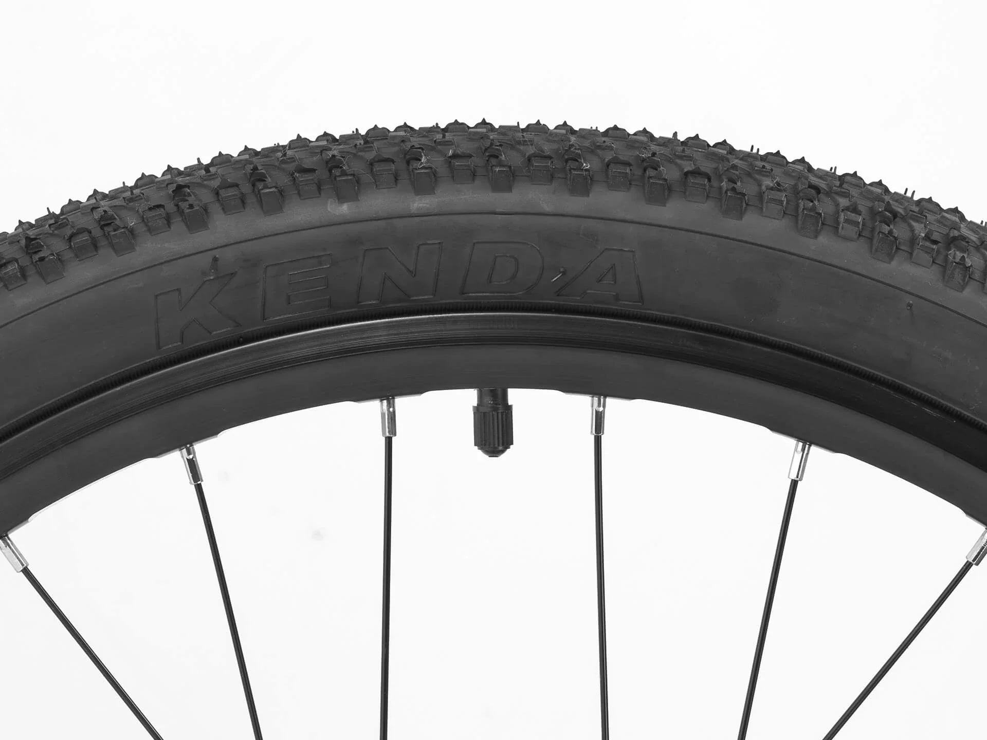 Darwin IV 24-Inch Kids Bike